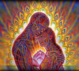 d d